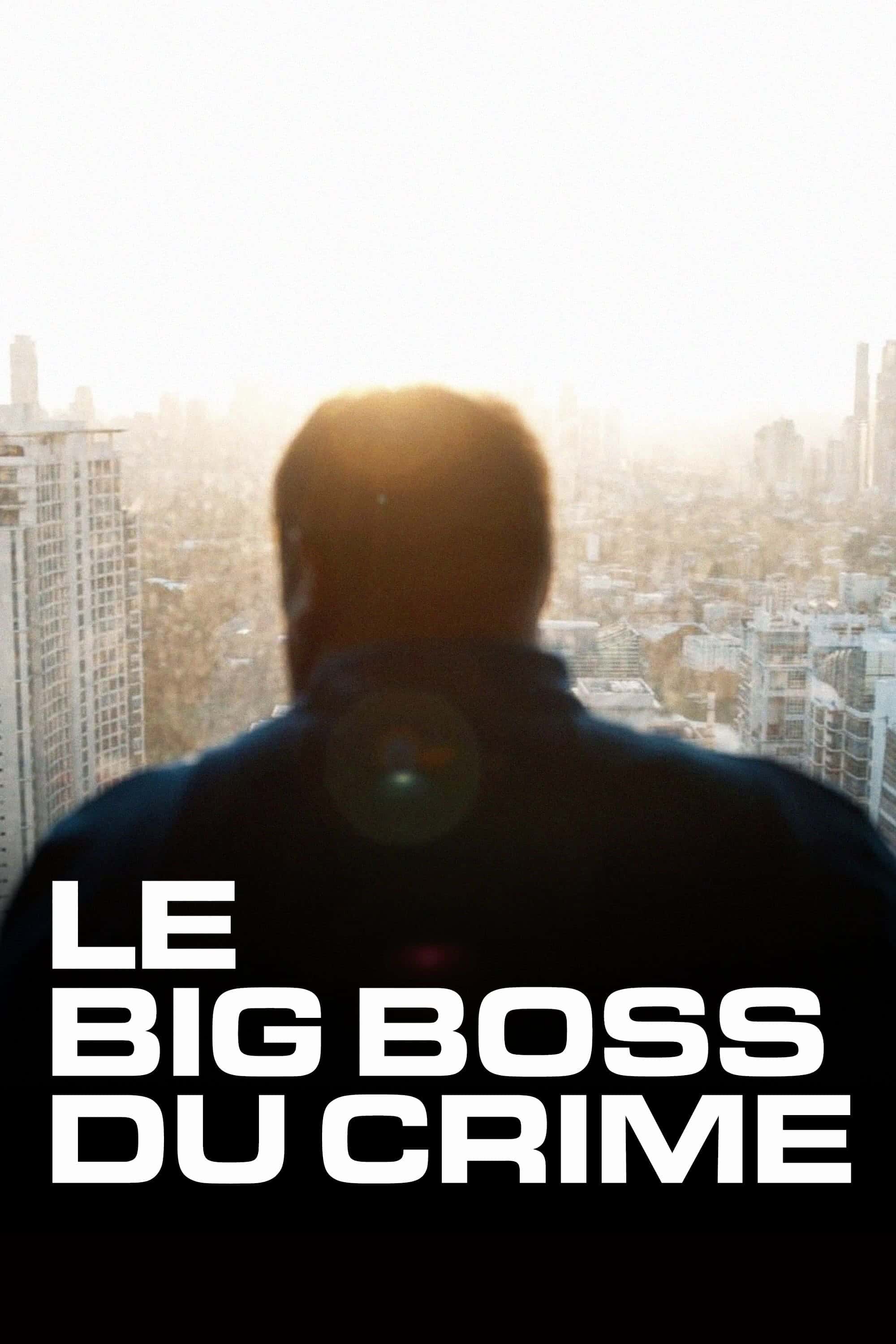 The Big Boss: A 21st Century Criminal