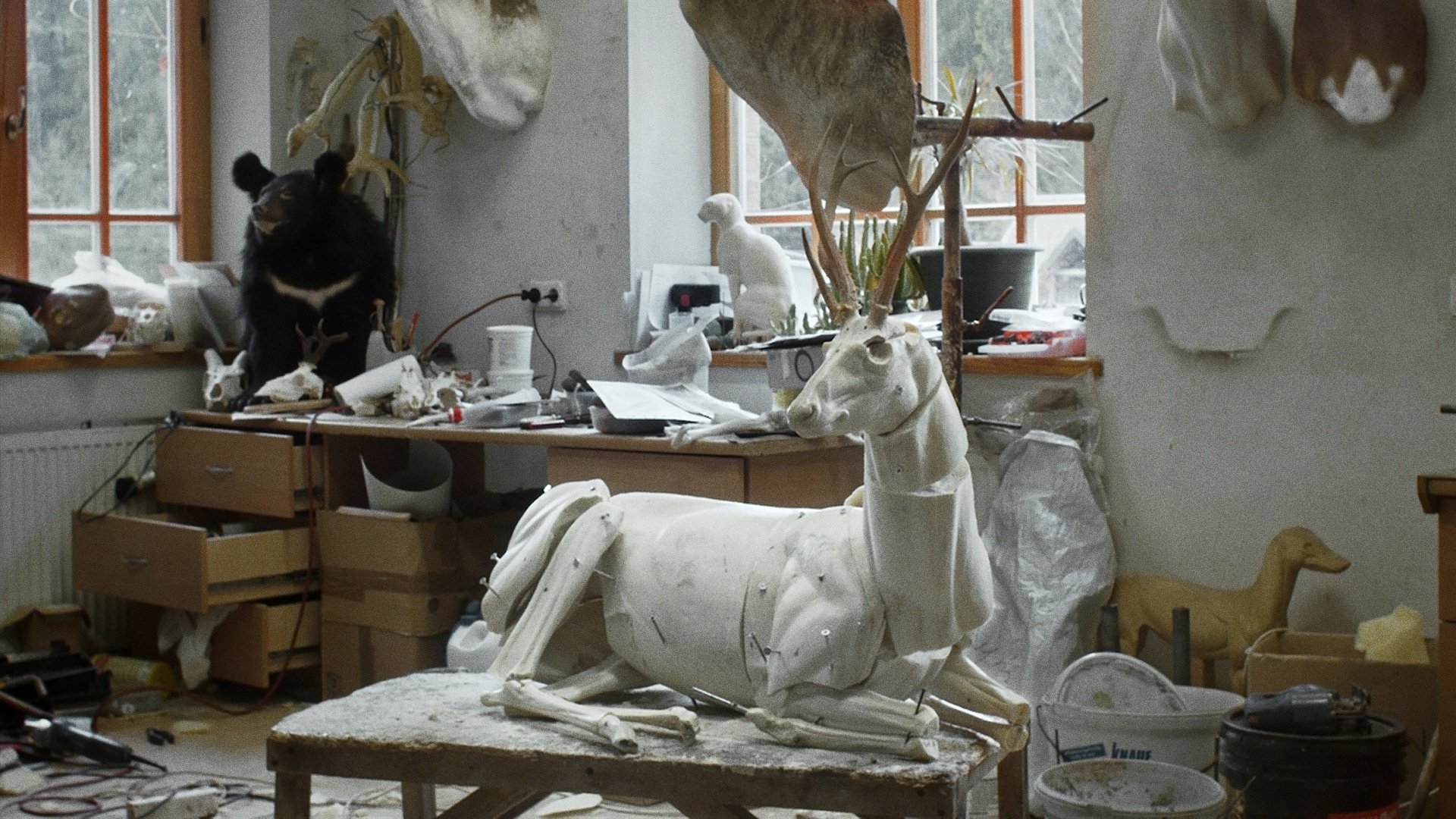 Animus Animalis (A Story about People, Animals and Things)