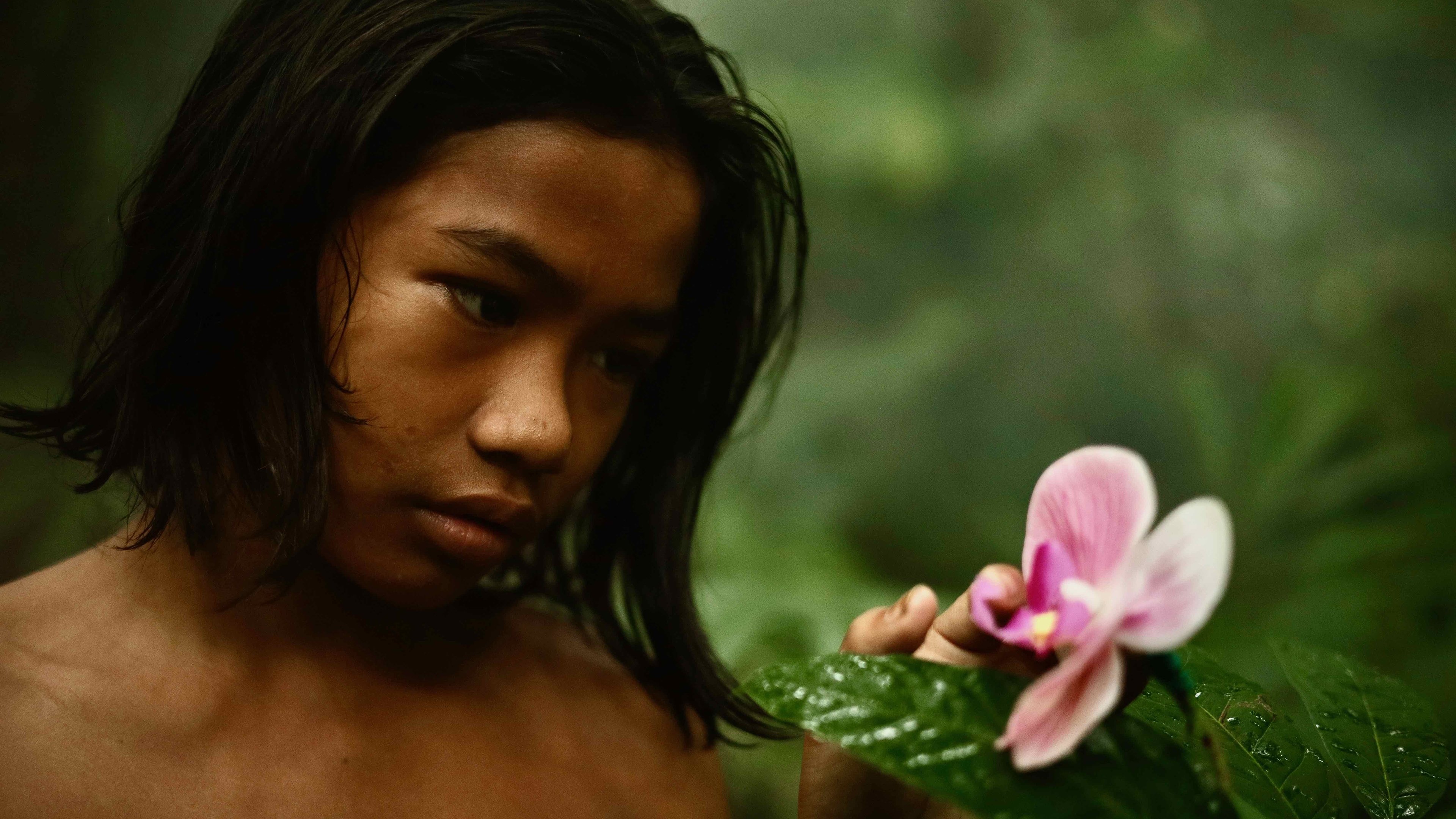 The Garden of Earthly Delights