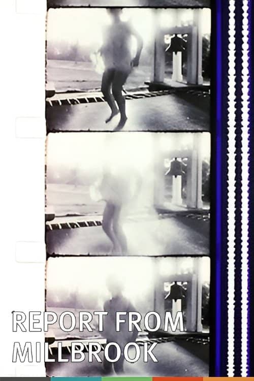 Report from Millbrook